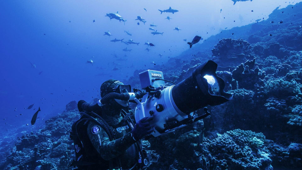Focus: how to capture the underwater world?